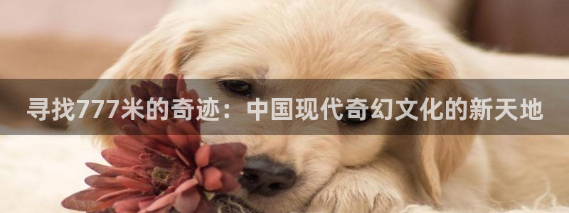神马94电影院：寻找777米的奇迹：中国现代奇幻文化的新天地