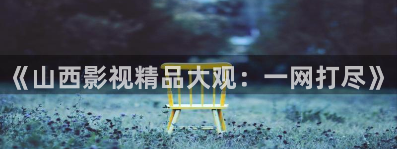 神马影视院网：《山西影视精品大观：一网打尽》