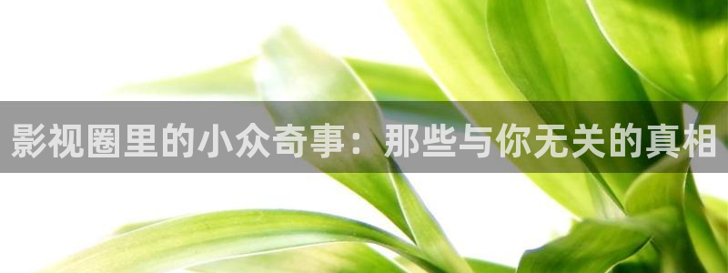 神马影院电视剧免费观看完整版长：影视圈里的小众奇事：那些与你无关的真相