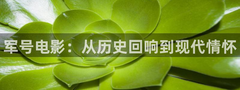 神马电影网午夜888：军号电影：从历史回响到现代情怀