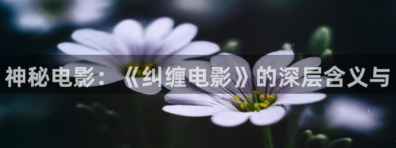 美景之屋2神马电影：神秘电影：《纠缠电影》的深层含义与