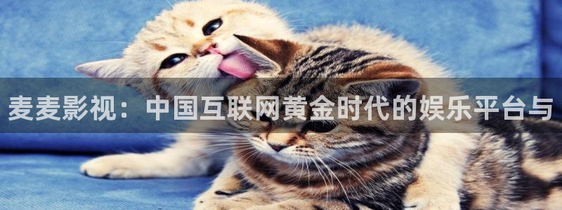 神马电影院免费在线：麦麦影视：中国互联网黄金时代的娱乐平台与