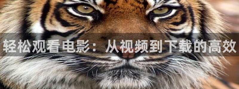神马电影院手机版伦理：轻松观看电影：从视频到下载的高效