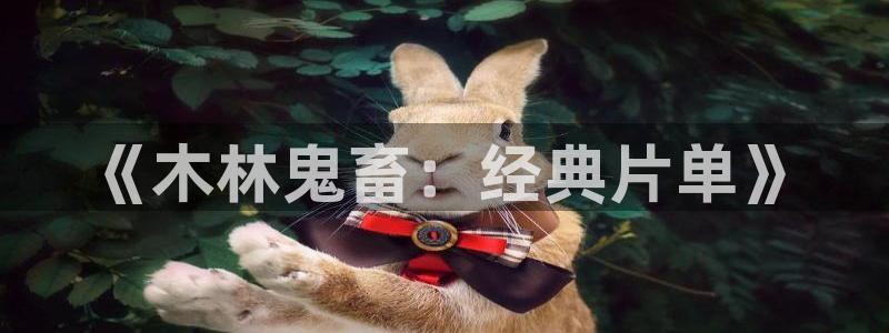 6080神马影视：《木林鬼畜：经典片单》