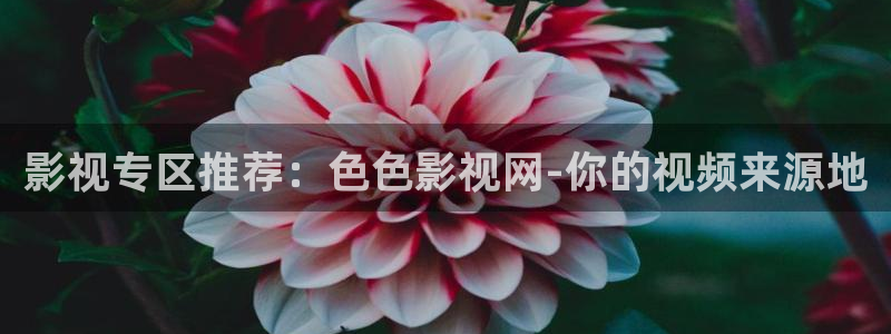 神马伦理第九电影影院：影视专区推荐：色色影视网-你的视频来源地