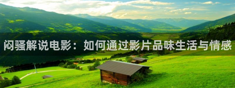 电影 神马：闷骚解说电影：如何通过影片品味生活与情感
