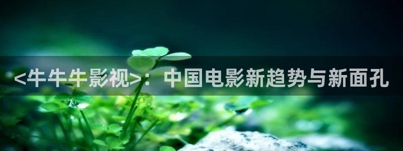 神马影院免费在线看：<牛牛牛影视>：中国电影新趋势与新面孔