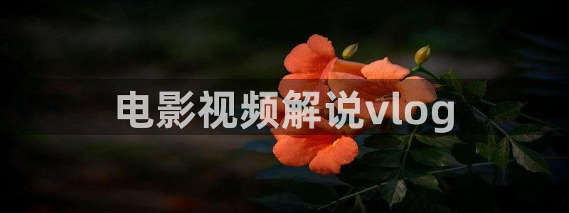 神马影视麻豆：电影视频解说vlog