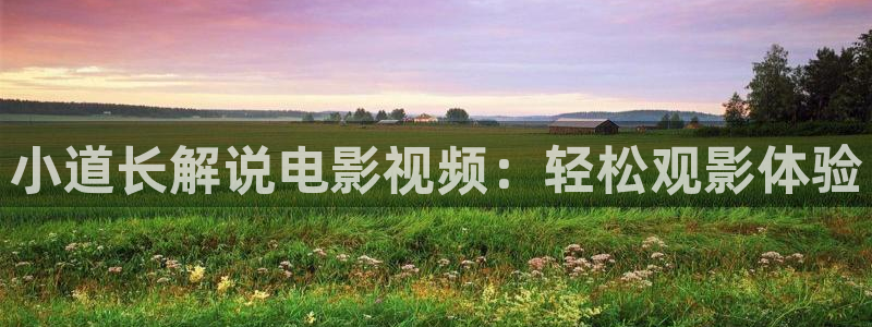 神马我不卡午夜电影：小道长解说电影视频：轻松观影体验