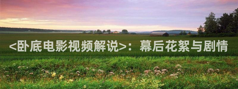 蜜桃成熟时神马影院：<卧底电影视频解说>：幕后花絮与剧情