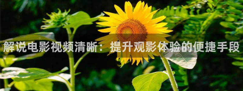 神马影视午夜天堂：解说电影视频清晰：提升观影体验的便捷手段