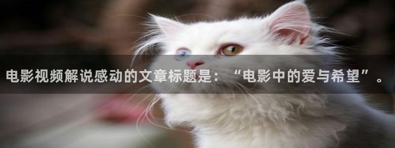 神马影院夏：电影视频解说感动的文章标题是：“电影中的爱与希望”。