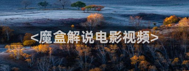 九九神马影院：<魔盒解说电影视频>
