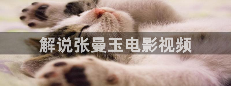 神马影院午夜三级：解说张曼玉电影视频