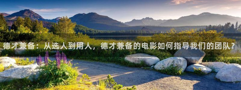 神马影院我不卡伦理：德才兼备：从选人到用人，德才兼备的电影如何指导我们的团队？