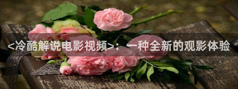战狼神马电影在线观看：<冷酷解说电影视频>：一种全新的观影体验