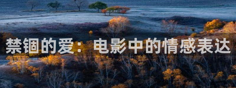 神马家庭影院伦理片：禁锢的爱：电影中的情感表达
