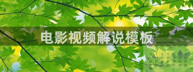 叫神马我不卡手机影院：电影视频解说模板