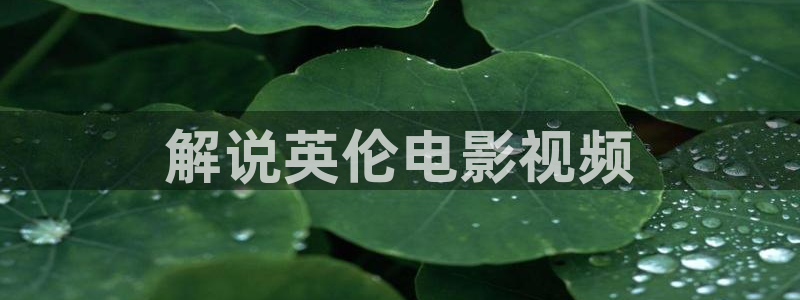 我不卡神马影院手机在线：解说英伦电影视频