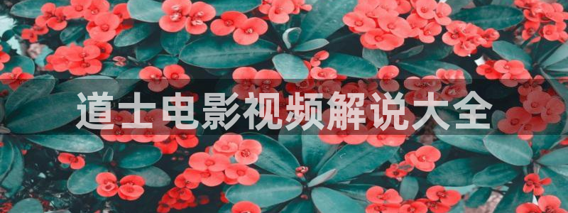 神马影剧：道士电影视频解说大全