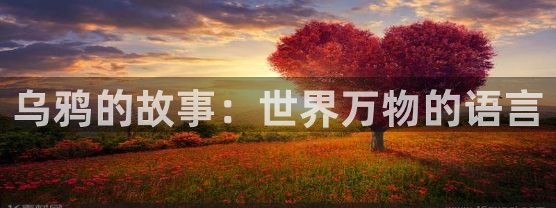 神马推理电影在线观看免费：乌鸦的故事：世界万物的语言