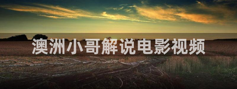 神马飘雪免费观看电视剧西瓜影院：澳洲小哥解说电影视频