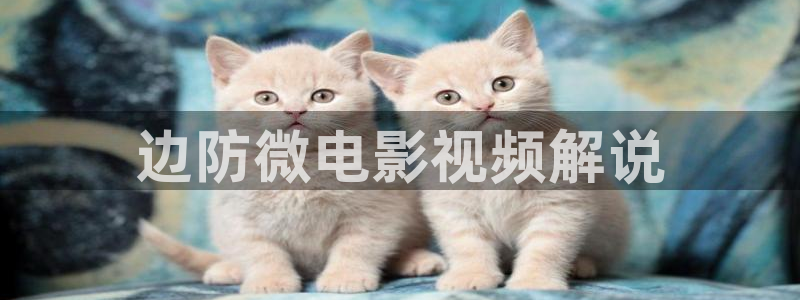 神马影院达达兔私人影院：边防微电影视频解说