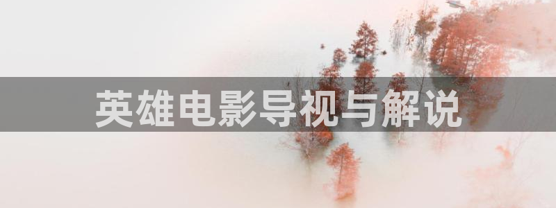 以前神马影视：英雄电影导视与解说