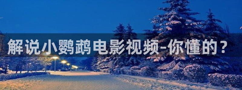 神马手机午夜不卡影院：解说小鹦鹉电影视频-你懂的？