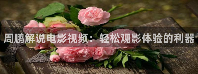 神马电影电影大全：周鹏解说电影视频：轻松观影体验的利器