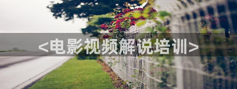 精品神马电影：<电影视频解说培训>